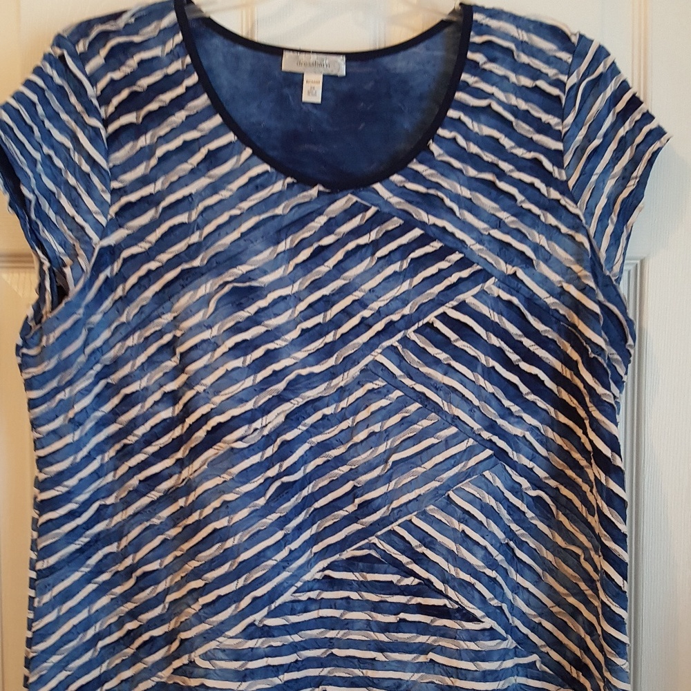 dressbarn Blue and White Striped Blouse